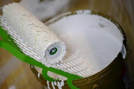 Pinturas Zuñiga